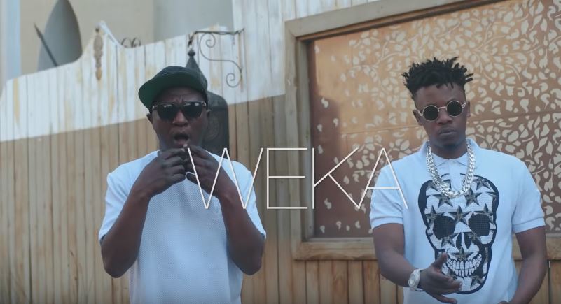 Weka VIDEO - Bekaboy