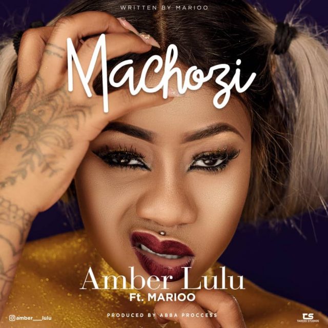 New Audio Amber Lulu Ft Marioo Machozi Download Mzuka Mwingi 
