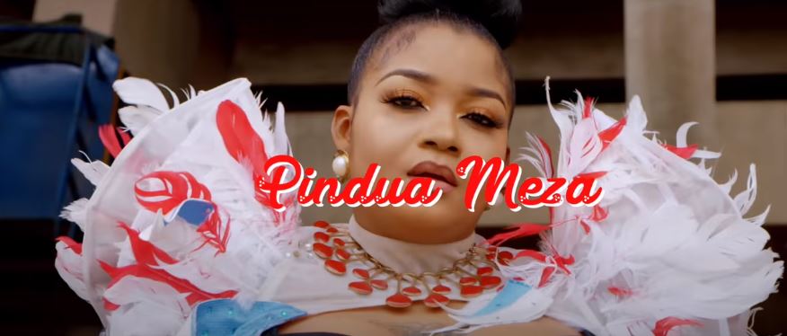 Shilole Pindua Meza Official Video - Bekaboy