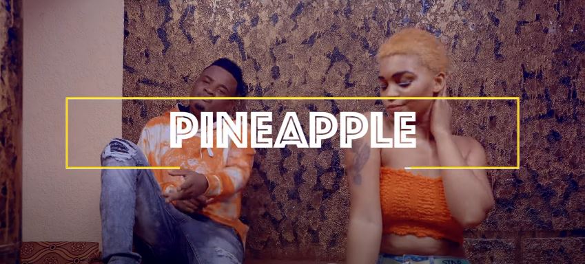 Pineapple No Pain Official Music Video - Bekaboy