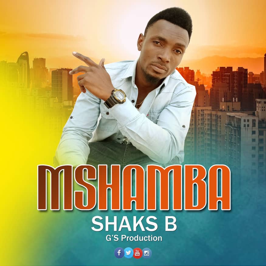 Mshamba AUDIO - Bekaboy