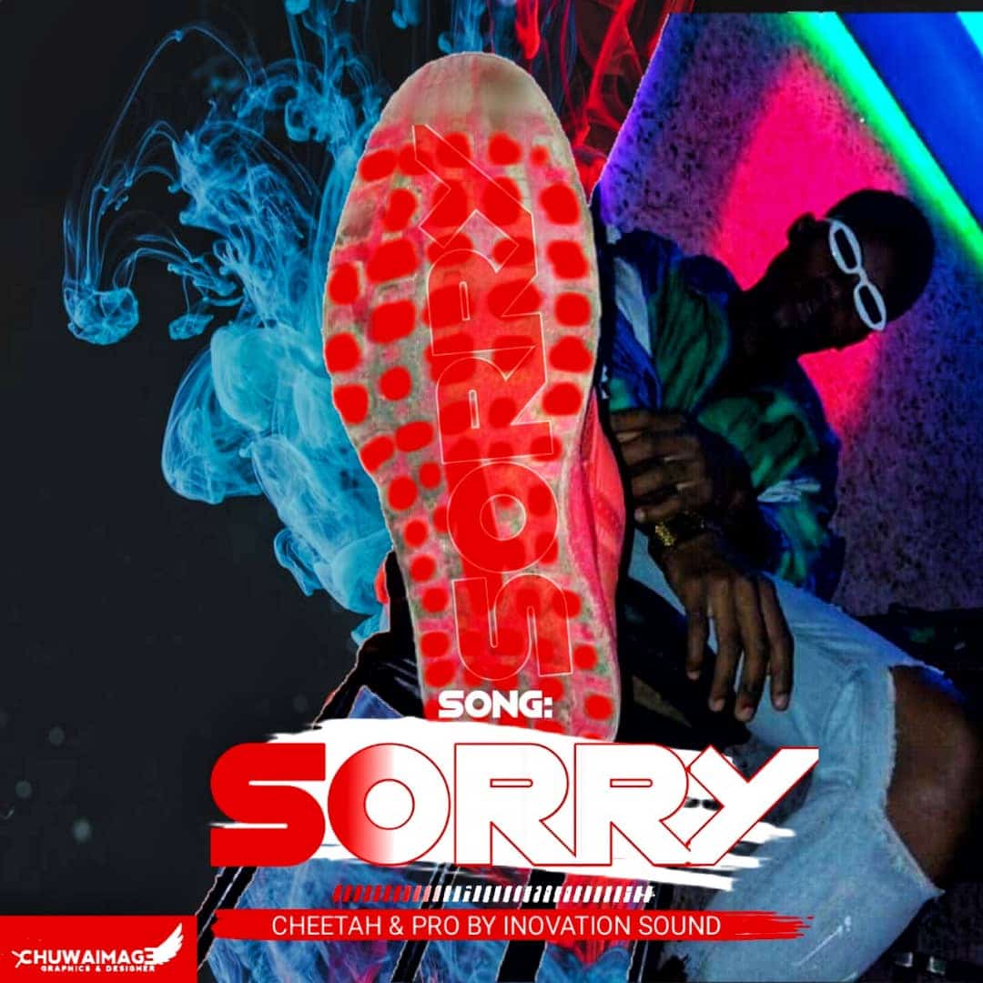 Sorry artwork - Bekaboy