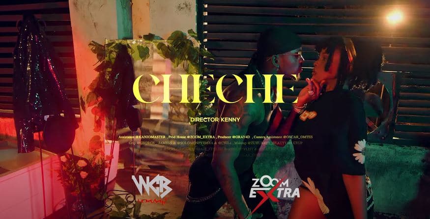 Zuchu Ft Diamond Platnumz Cheche Official Video - Bekaboy