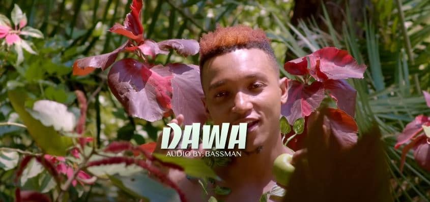 Brown Mauzo Dawa Official Video - Bekaboy