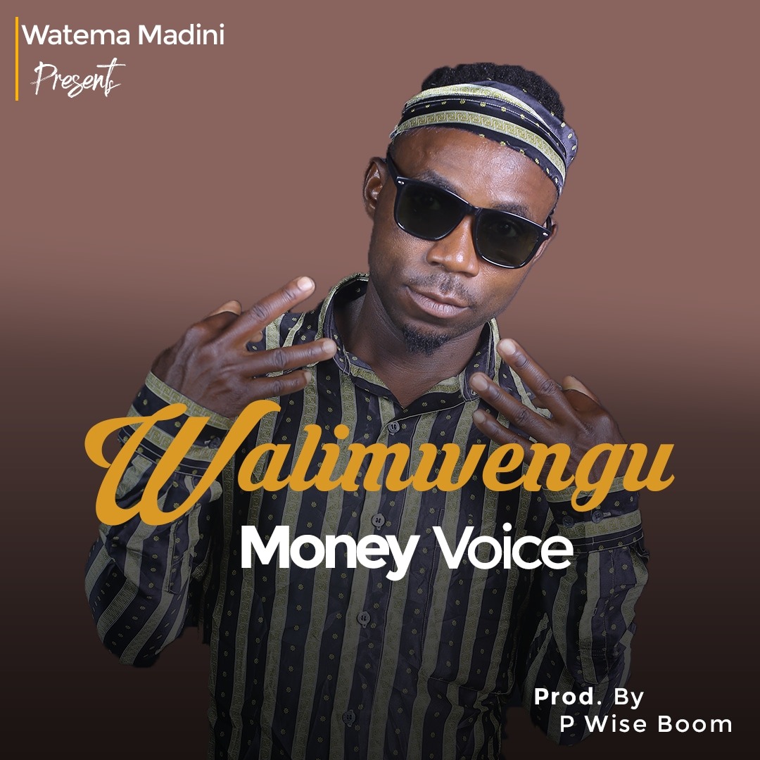 money voice walimwengu - Bekaboy