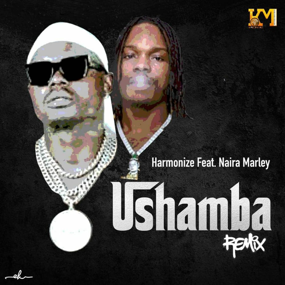 Ushamba Remix ART - Bekaboy