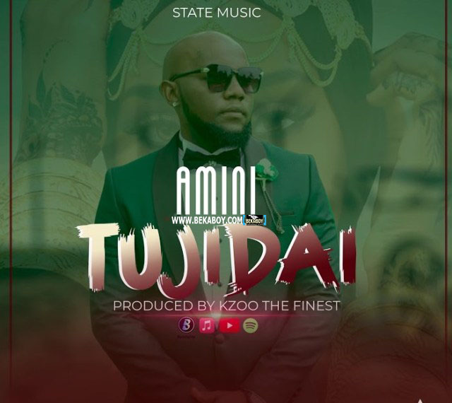 Amini Tujidai cover - Bekaboy
