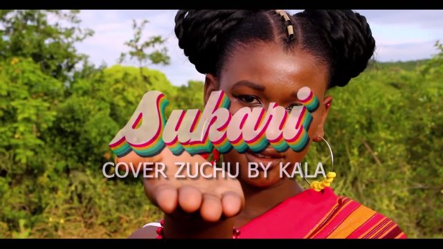 Sukari Video Cover 640x360 1 - Bekaboy