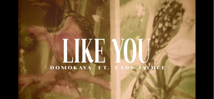 Domokaya Ft. Lady Jaydee – Like You - Bekaboy
