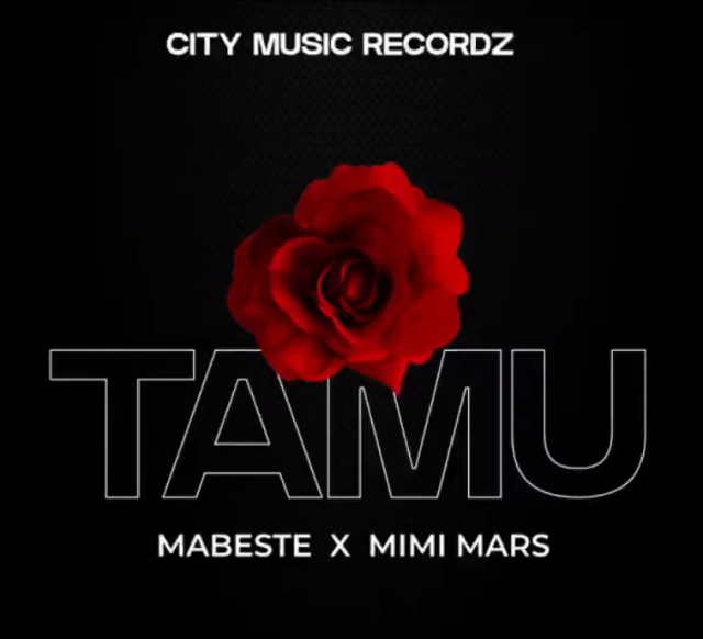 Mabeste Ft Mimi Mars Tamu Official Music Audio 0 0 screenshot 640x582 1 - Bekaboy