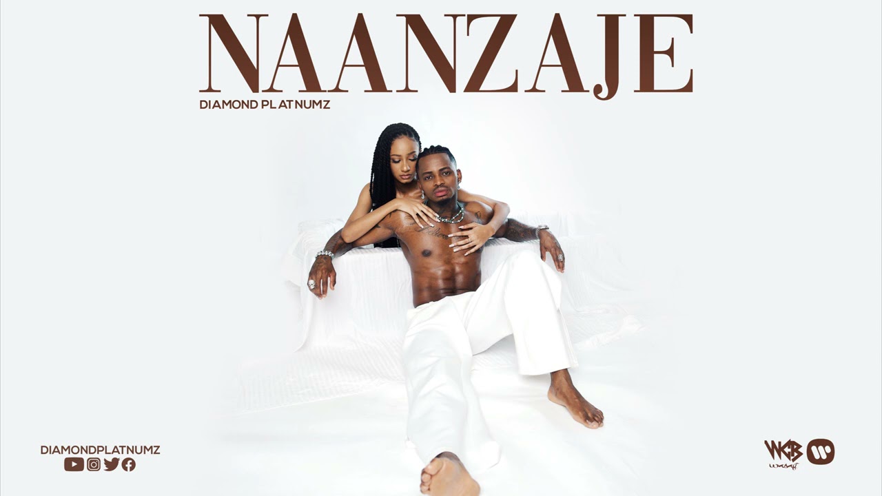 Diamond Naanzaje Cover - Bekaboy