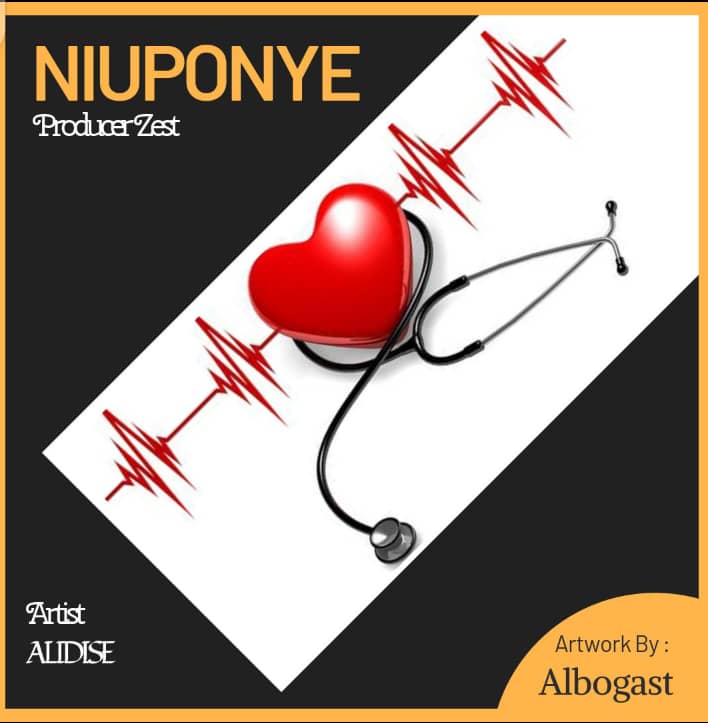 Niuponye ART - Bekaboy
