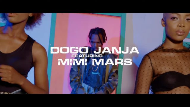 Dogo Janja ft Mimi Mars Shindulia Chini video - Bekaboy