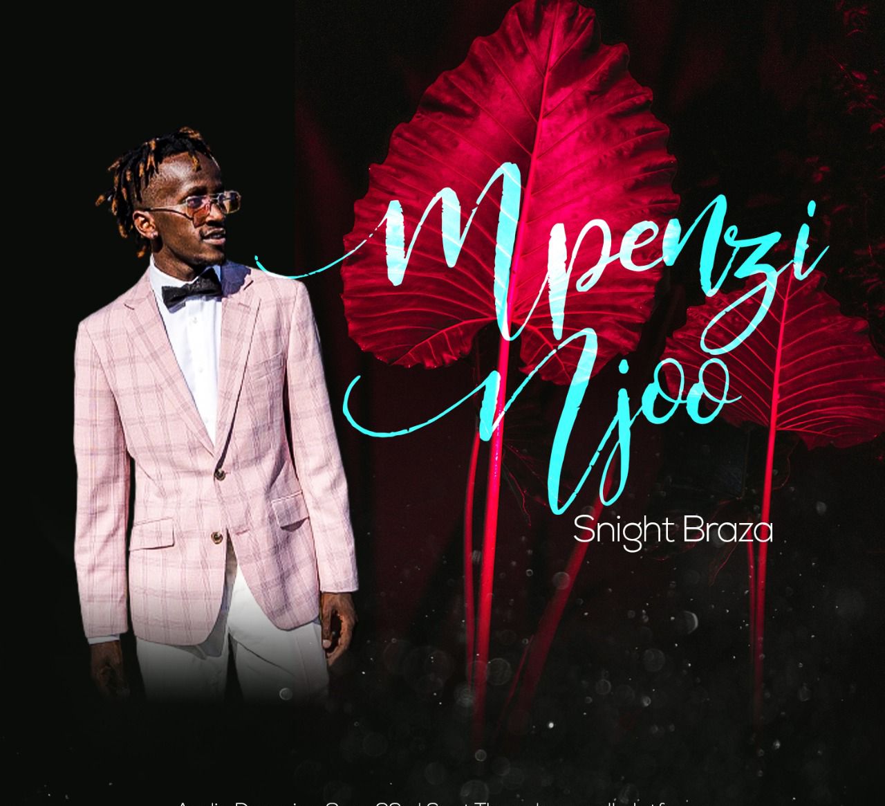 Mpenzi Njoo ARTWORK DKSXN - Bekaboy