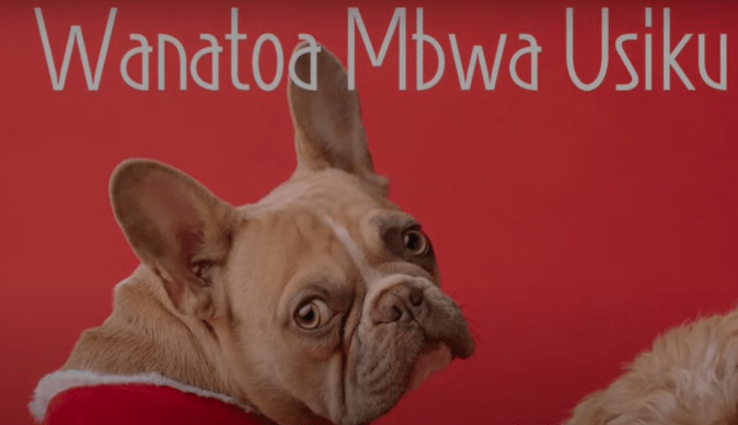 Wanatoa Mbwa Usiku - Bekaboy