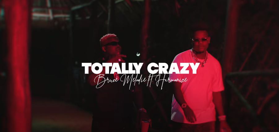 Bruce Melodie Totally Crazy ft. Harmonize VIDEO - Bekaboy