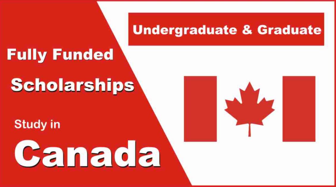 How to Apply Canadian Scholarship For International Students Complete Guide - Bekaboy