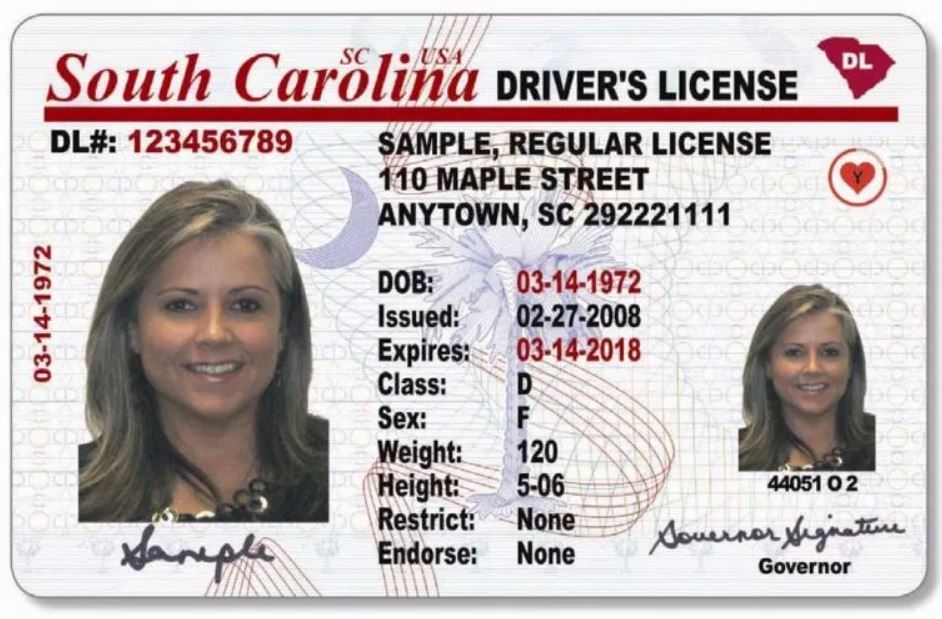 South Carolina drivers license application Form 2022 - Bekaboy