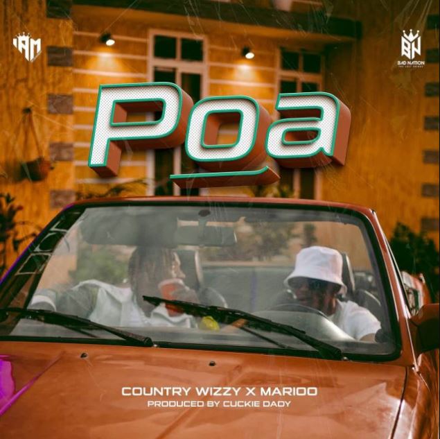 Country Wizzy Ft. Marioo – Poa - Bekaboy