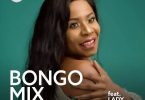 Pakua Bongo Mix ft Lady Jaydee kwenye Mdundo - Bekaboy