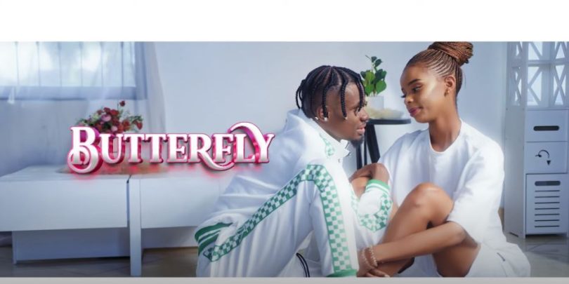Wyse Butterfly VIDEO - Bekaboy