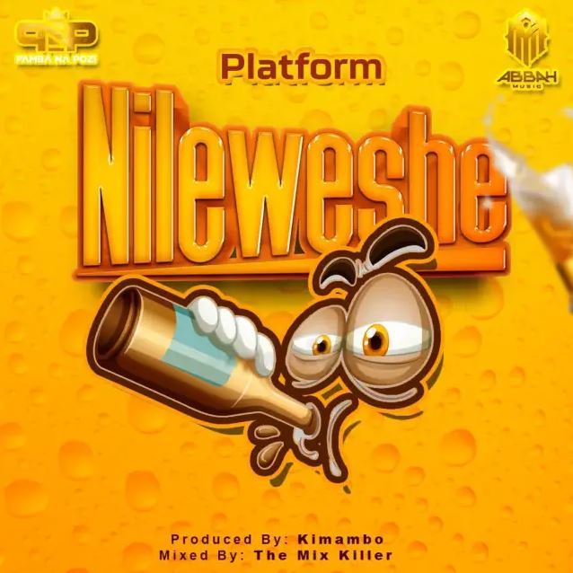Platform TZ – Nileweshe - Bekaboy