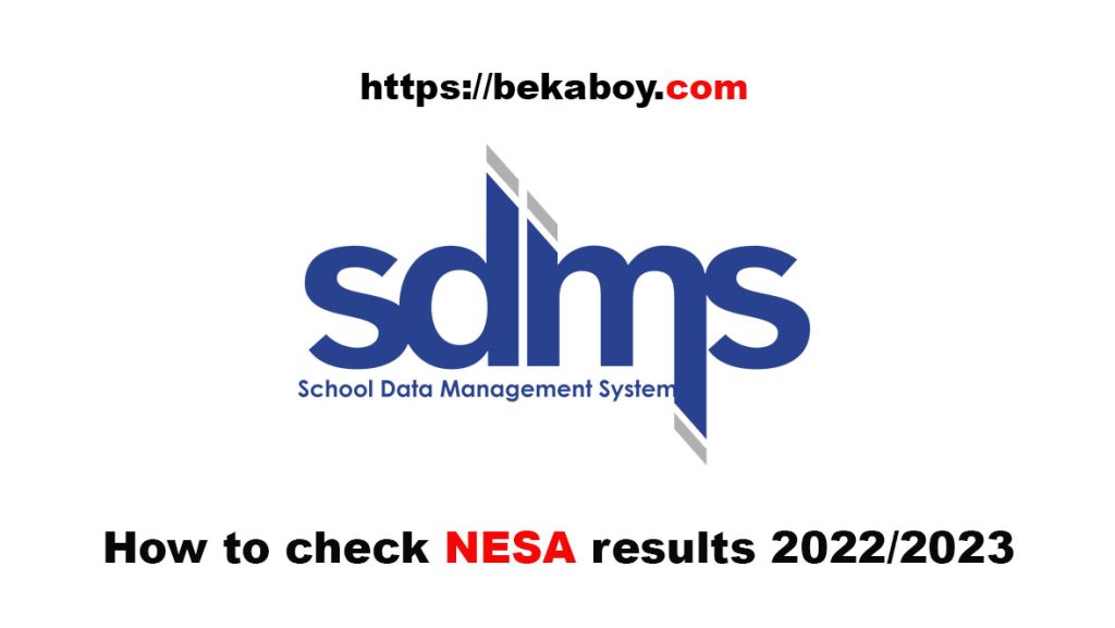 How to check NESA results 2022/2023