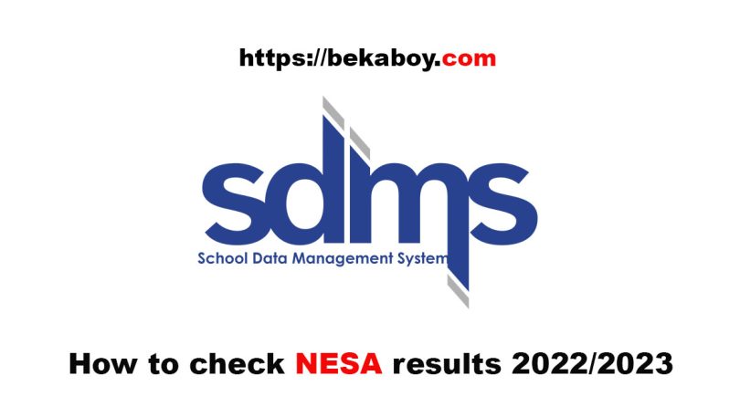 How to check NESA results 2022 2023 - Bekaboy