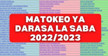 Matokeo ya Darasa la Saba 2022 - Bekaboy