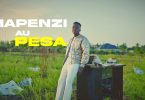 Centano Mapenzi au Pesa video lyrics - Bekaboy