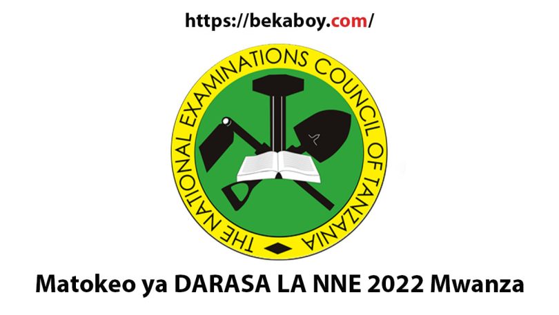 Matokeo ya DARASA LA NNE 2022 Mwanza - Bekaboy