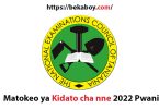 Matokeo ya Kidato cha nne 2022 Pwani - Bekaboy