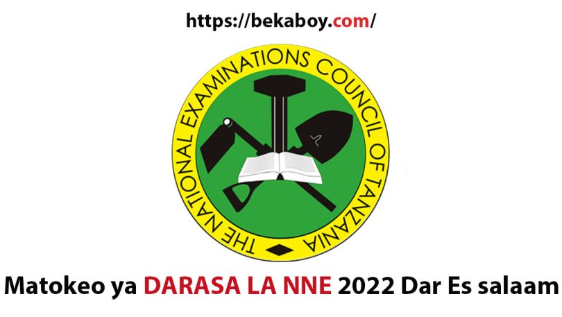 Matokeo ya darasa la nne 2022 Dar Es salaam - Bekaboy
