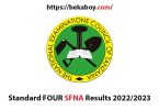 Standard FOUR SFNA Results 2022 2023 - Bekaboy