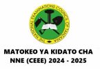 Matokeo Kidato Cha Nne 20242025 Form Four Results