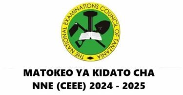 Matokeo Kidato Cha Nne 20242025 Form Four Results