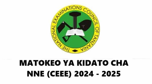 Matokeo Kidato Cha Nne 20242025 Form Four Results