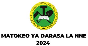 Matokeo ya Darasa la Nne 20242025