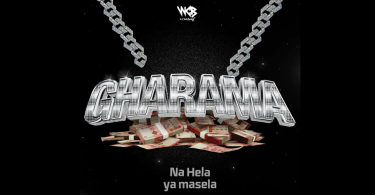 D Voice - Gharama Lyrics