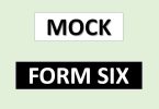 Mock Exams Form Six 2025 – Download Now!