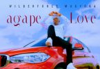 Wilberforce Musyoka - Agape Love