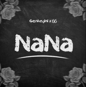 Genius Jini X66 – Nana