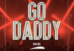 Saluh – Go Daddy