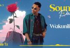 Aslam Tz - Wakuniliza (Acoustic)