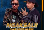 Chalii Mtoto Wa Bibi Ft Fido Vato - Ngaksalii