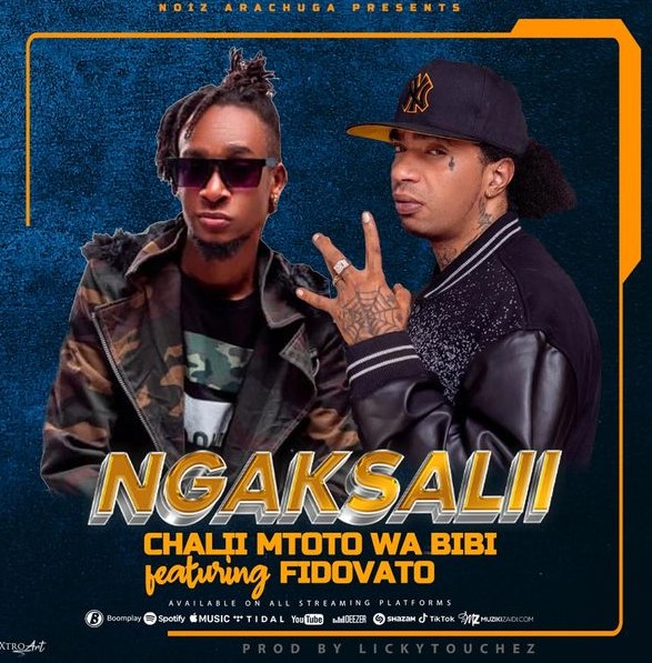 Chalii Mtoto Wa Bibi Ft Fido Vato - Ngaksalii