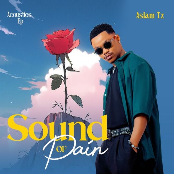 EP Aslam Tz - Sound Of Pain