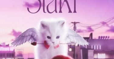 Hanstone – Staki