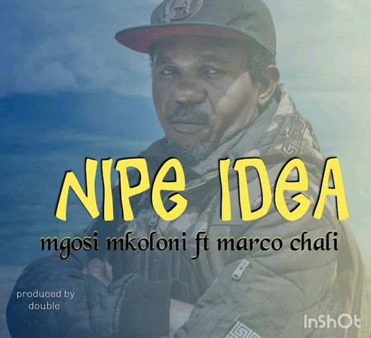 Mgosi Mkoloni (Wagosi Wakaya) Ft Marco Chali - Nipe Idea