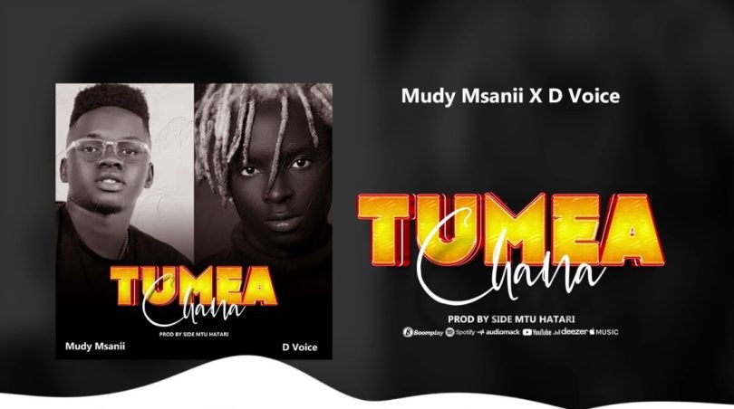 Mudy Msanii Ft D voice -Tumeachana